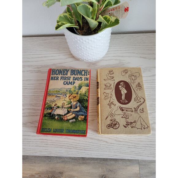 2 Vintage Honey Bunch Books  First Summer on the Island, Days in Camp - Picture 1 of 8